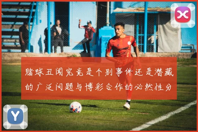 赌球丑闻究竟是个别事件还是潜藏的广泛问题与博彩合作的必然性分析