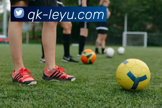 乐鱼体育平台生态图