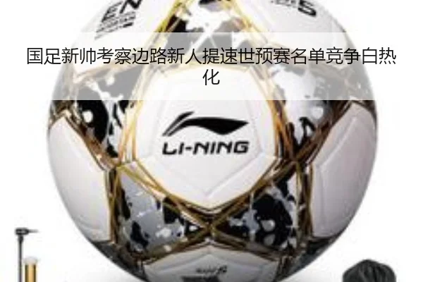 国足新帅考察边路新人提速世预赛名单竞争白热化 - leyu